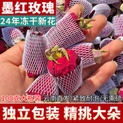 冻干墨红玫瑰花茶100g云南大朵特级无硫熏可食用重瓣干玫瑰花冠茶