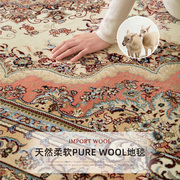 进口羊毛波斯地毯客厅，欧式法式房间美式中式卧室床边毯茶几毯加厚