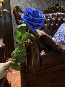 家居装饰仿真花假花绢花单枝手感蓝色玫瑰蓝色妖姬客厅别墅样板间
