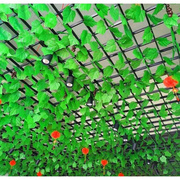 仿真葡萄叶爬山虎植物藤条，绿萝藤蔓装饰管道吊顶，绿叶管道塑料假花