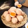 30枚土鸡蛋农家散养鸡蛋，新鲜五谷虫草，笨鸡蛋蔬菜现捡