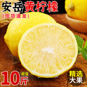 四川安岳黄柠檬(黄柠檬)10斤装新鲜水果奶茶店，专用一级香水甜柠檬皮薄无籽