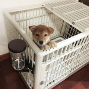 日本爱丽丝狗笼子泰迪比熊，法斗中小型犬爱丽思宠物，树脂猫笼带厕所
