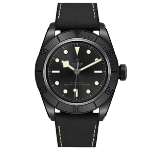 帝舵碧湾系列，m79210cnu-0001腕表41mm黑色陶瓷，自动机械男士手表