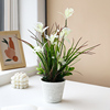北欧风假花仿真花客厅摆件，创意室内桌面假盆栽，仿真植物绿植装饰品