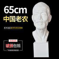 中国老农石膏，头像65cm素描教具