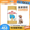皇家狗粮alr33拉布拉多专用幼犬粮奶糕孕期狗宝宝，宠物大型犬12kg