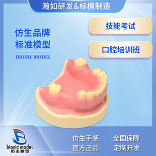 牙科材料口腔种植练习打孔牙龈缝合下颌种植实操模型tyd-a24-8-g