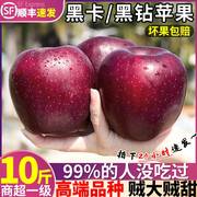 大果 云南昭通黑卡苹果9斤黑钻蛇果新鲜水果当季黑色纯甜整箱