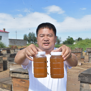 陕北枣花蜜红枣花蜂蜜纯正天然农家，自产百花蜜野生成熟土蜂蜜2斤