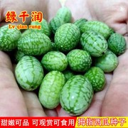 拇指西瓜种子微型迷你小西瓜种籽春秋四季播阳台盆栽蔬菜水果种子