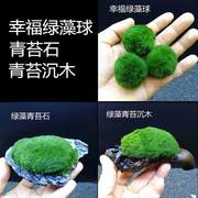 绿藻球散装绿藻球海藻球水草缸装饰造景微景缸摆设创意水景观