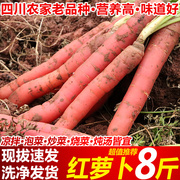 四川本地胡萝卜8斤新鲜蔬菜红心萝卜当季水果红萝卜