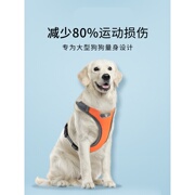 狗狗牵引绳大型犬金毛拉布拉多萨摩耶用品背心式遛狗链成犬胸背带
