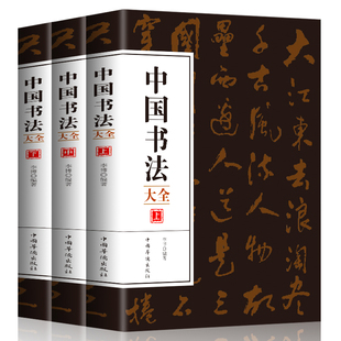 全套3册中国书法大全书法入门石门颂张迁碑礼器碑曹全碑董其昌等 培训教程硬笔毛笔书法练习教程中国书法简史书法大字典初学者