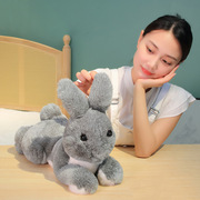 仿真小兔子玩偶趴趴兔公仔，可爱熊毛绒(熊毛绒，)玩具女生睡觉抱枕布娃娃