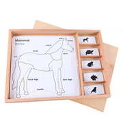 Montessori动物植物拼图嵌板三段卡蒙氏教具榉木动物植物解剖图卡