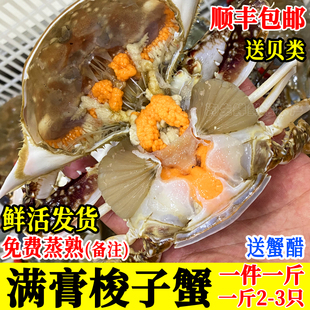满膏母蟹连云港野生梭子蟹鲜活满黄蟹红膏海螃蟹一斤2-3只包
