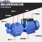 220V螺杆自吸泵家用220V 高扬程吸井水抽水泵自来水全自动增压泵