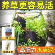 不浑水 送种子水草泥陶粒砂鱼缸造景底砂底沙水族箱种子石头