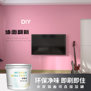 乳胶背室内家用漆水自刷墙x漆彩色防景墙面漆水性白色墙面