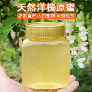 青藏之巅洋槐花蜂蜜土蜂蜜，农家自产百花蜜野花蜜成熟无添加槐花蜜