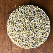 麦仁米2022年新米陕北农家自产小麦仁米500g粗粮杂粮粥商用食用