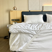 酒店床垫软垫加厚褥子垫单人，双人家用折叠保护垫学生宿舍防滑床褥