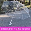 小清新网红女马卡龙纤维骨透明雨伞加固舞蹈绘画伞可印刷广告LOGO