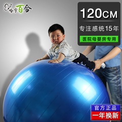 120cm宝宝感统训练球儿童大龙球