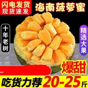 海南三亚菠萝蜜新鲜水果波罗蜜，当季整箱特产，20-40斤一整个红