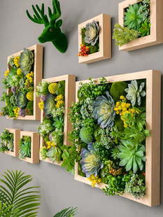 仿真绿植多肉壁挂田园挂饰，壁饰立体电表箱遮挡植物，墙花卉墙面装饰