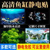 鱼缸背景贴纸3d高清图装饰画，水草珊瑚石水族箱造景静电贴壁纸贴画