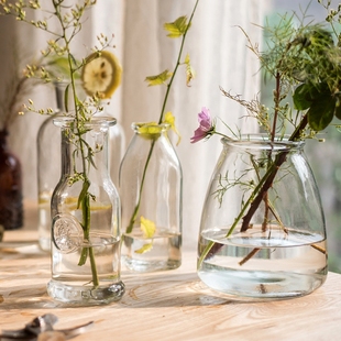 LY小型玻璃器皿花瓶花器花插小口玻璃瓶收纳瓶韩式日式清新玻璃