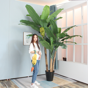 仿真芭蕉树室内造景绿植假树香蕉树室内大型落地景观植物装饰