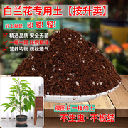 白兰花专用土嫁接黄玉兰花苗培植土通用型营养土树苗弱酸性土精配