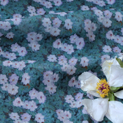 莫兰白紫漫强捻100支纯苎麻面料，布料原创设计印花女服装连衣裙