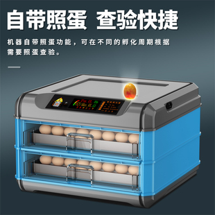 器蛋能家用小型孵智器孵小鸡的机器箱自动鹅X鸡蛋孵化全孵
