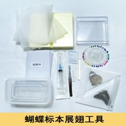 蝴蝶标本制作材料工具学生教学昆虫针标本盒展翅板镊子手工DIY