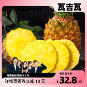 瓦吉瓦恰好庄园 海南金钻凤梨4.5斤新鲜水果当季甜