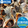 500g/ ≈10只 北京闪送 鲜活小海螺 大连水产海鲜 新鲜辣螺 海螺