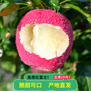 2023甘肃静宁苹果红富士，礼盒新鲜水果脆冰糖心，萍果整箱甜苹果孕妇