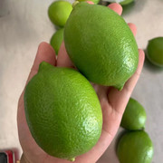 3斤起台湾品种新鲜水果青柠檬改善酸性体质VC王皮薄多汁