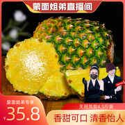 蒙面姐弟海南金钻凤梨当季热带新鲜水果香水菠萝特产4.5斤