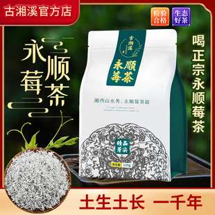 永顺莓茶湘西土家特产龙须芽尖野生嫩芽张家界春茶古湘溪藤茶