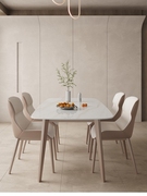 双虎家私亮光岩板餐桌椅，组合现代简约小户型，家用长方形可吃饭
