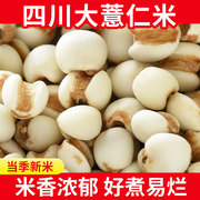 新鲜薏米500g小薏米仁苡仁五谷杂粮粗粮赤小豆芡实茯苓搭配薏仁米