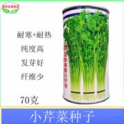 清香牌钰小香美丽禾人芹四季清香小芹菜种子70g 风味佳蔬菜籽