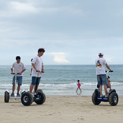 电动越野双轮平衡车成人代步车两轮思维体感沙滩X车大轮