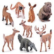 仿真野生森林动物模型河狸食蚁兽，松鼠猴家兔白尾鹿小狐狸玩具摆件